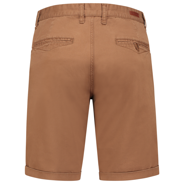 504008bronzbrownback.png