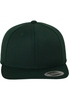 Classic Snapback spruce 
