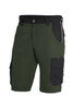 FHB THEO Bermuda  oliv-schwarz 
