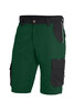 FHB THEO Bermuda  grün-schwarz 