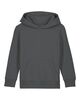 Stanley Stella - Mini Cruiser 2.0 Hoodies Anthracite 